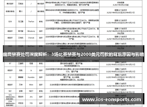 魏震禁赛处罚深度解析：3场比赛禁赛与2000美元罚款的背后原因与影响